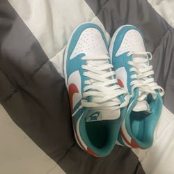 $70 Nike Dunk Lows 