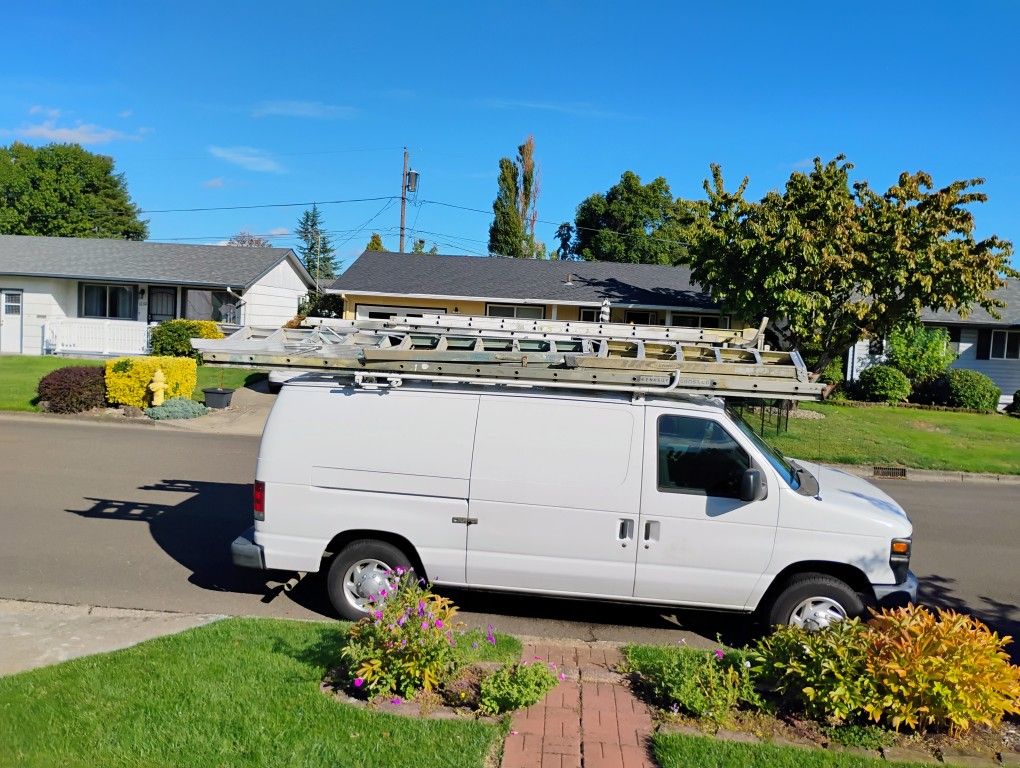 Pro Painting Ladders