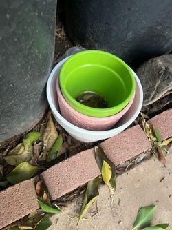 Three Planters $10 each