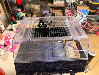 Turtle  Above Tank Basking Platform