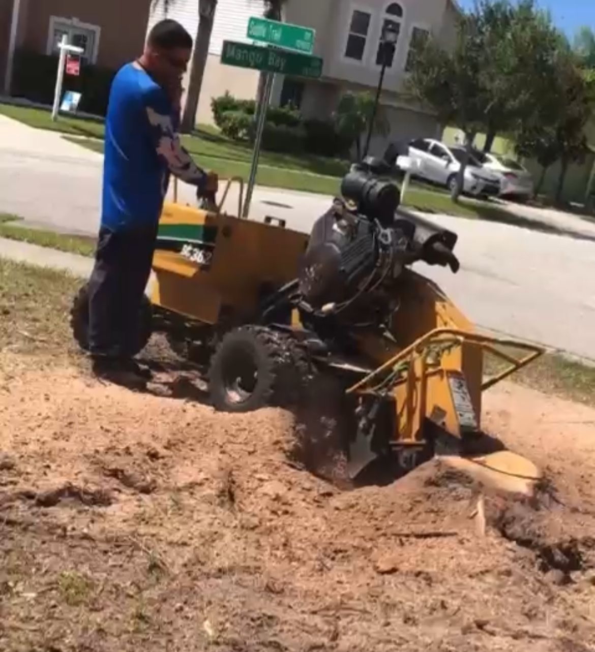 Stump Grinding