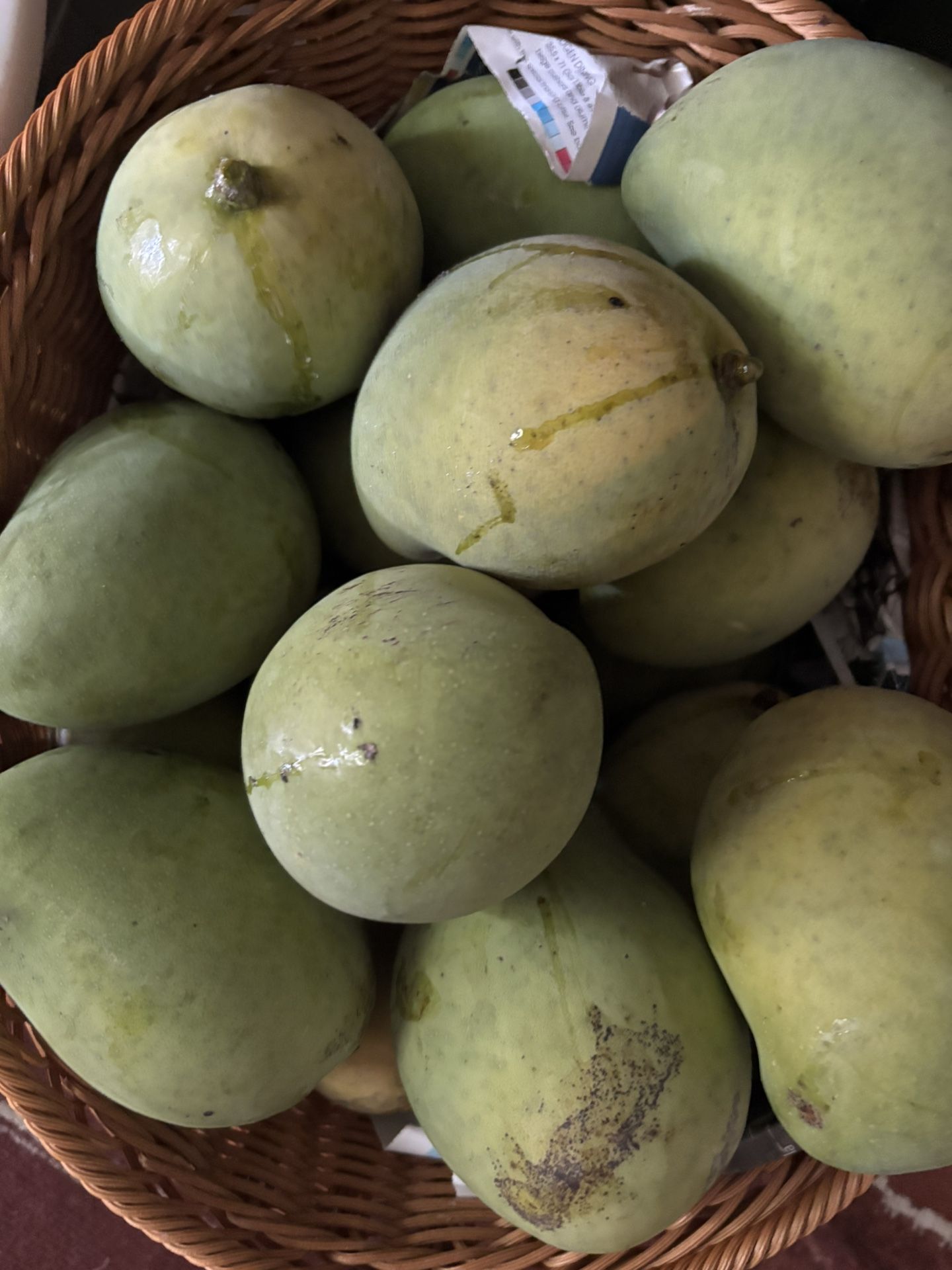 Haitian Mangoes
