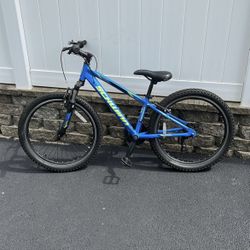 Schwinn Thrasher 24in bike