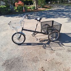 2 Workmanship Adult Tricycles