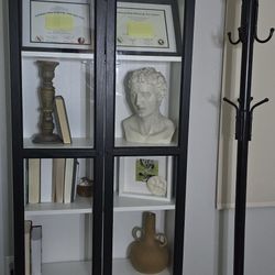 IKEA Billy Bookcase With Glass Doors