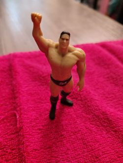 Wrestler Guy