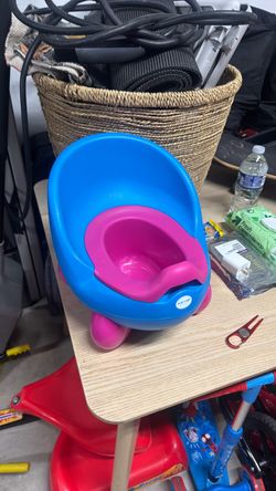 Potty training toilet
