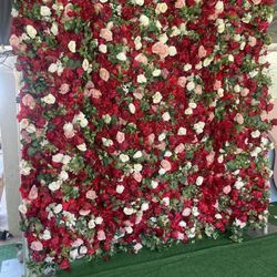 Rose Morning Red Flower Wall 