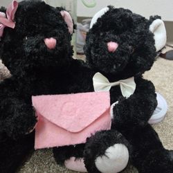 Plush stuffed teddy bears