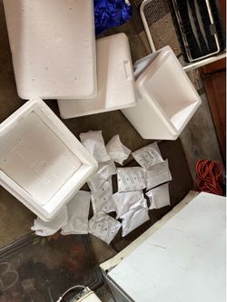 styrofoam, ice, chest and ice packs