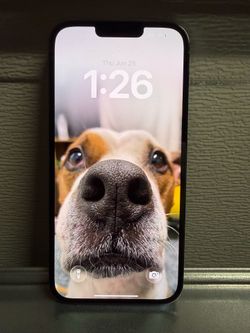 iPhone 13 Pro Max 256gb