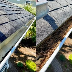 Gutter Cleaning/ Fencing 