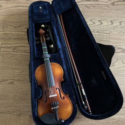 Beginner violin