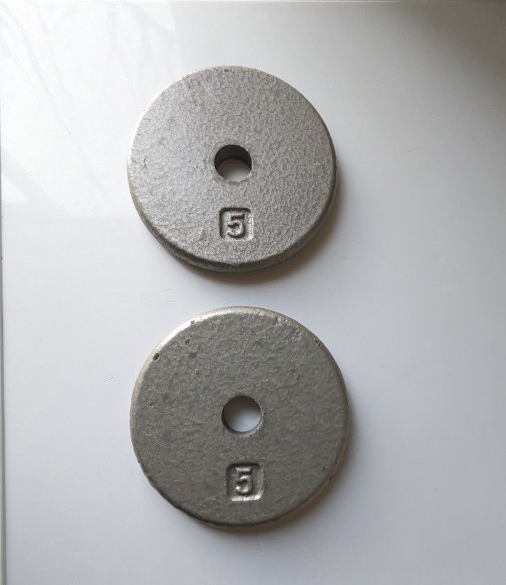 5lb Cast Iron Weight Plates, Set Of 2