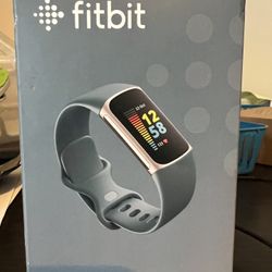 Fit Bit Charge Five