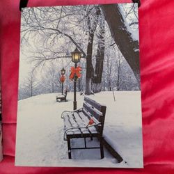 LED Lights, Battery Operated  Batteries Not Included. On/Off Switch on side 
8.25" x 6"