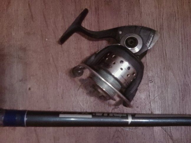 Shakespeare Pole Reel 