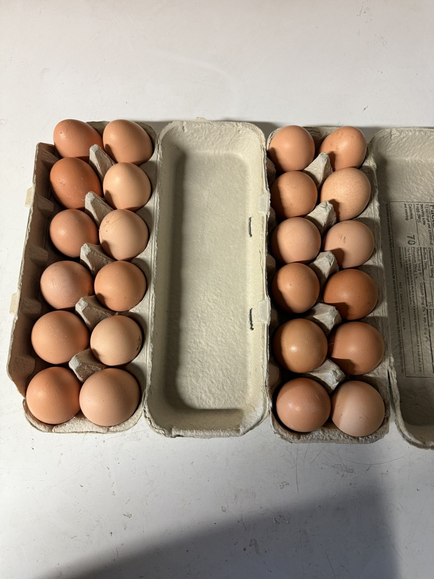 Fresh Eggs For Sale