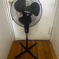 Stand Fan