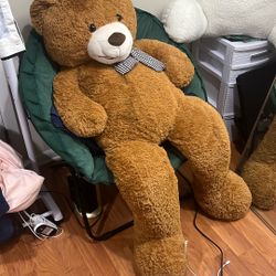 Large teddy bear
