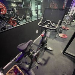Pelaton bike