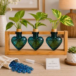 Plant Terrarium with Wooden Stand – 3 Heart Glass Vases
