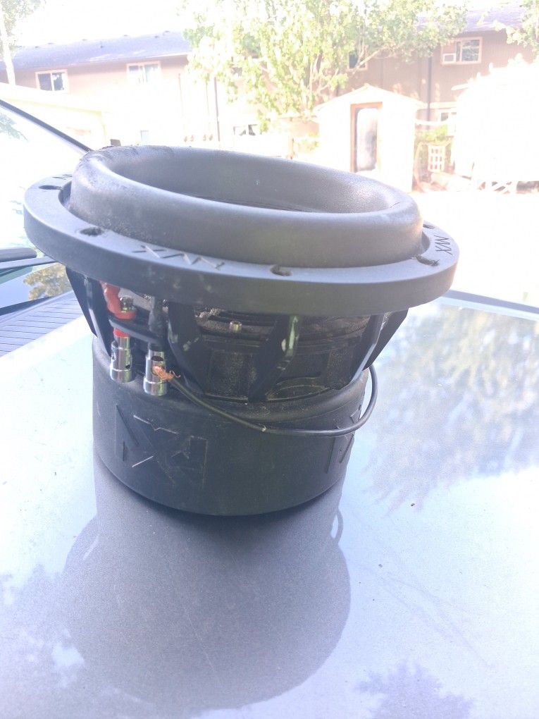 8 Inch Double Coil Subwoofer 