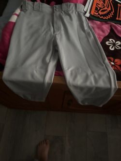 Baseball pants