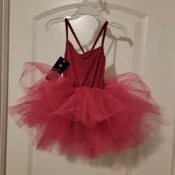Tutu / Ballerina Dress - 1T