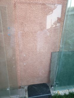 Shower Door