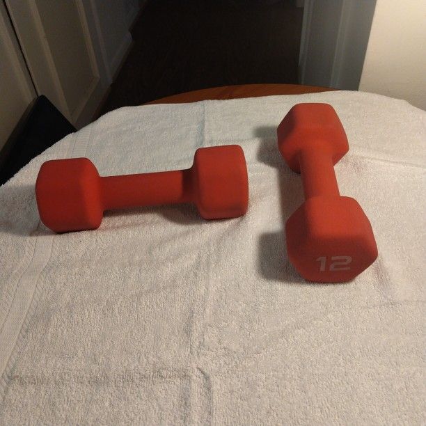 Two 12 Pound Dumbell Set