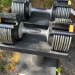 Golds Gym Weights