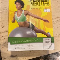 NordicTrack Fitness Ball