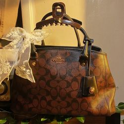 Coach Mini Lillie Carryall