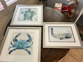 Set of 3 Coastal Watercolor Framed Art Prints