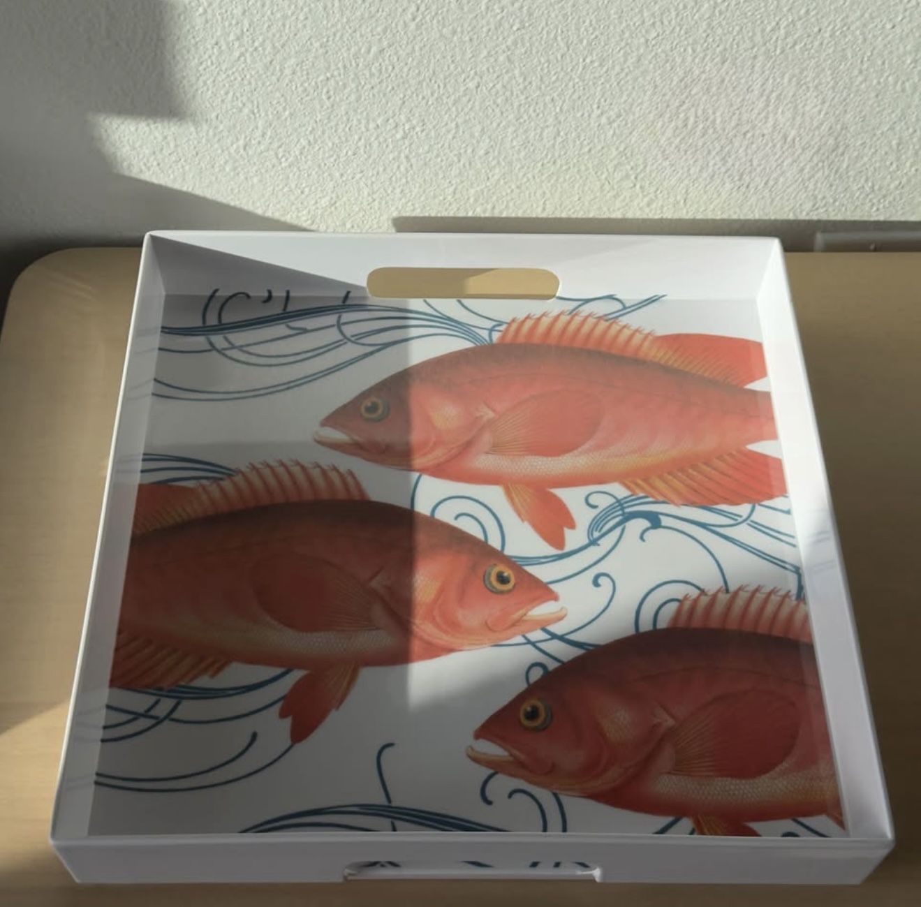 High Quality Thick BPA-Free Salmon Patterned Countertop Organizer