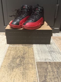 Flu Game 2025 Sz11
