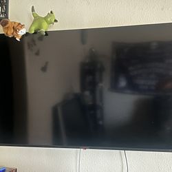 55” Tv 