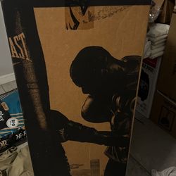 Everlast Punching Bag 