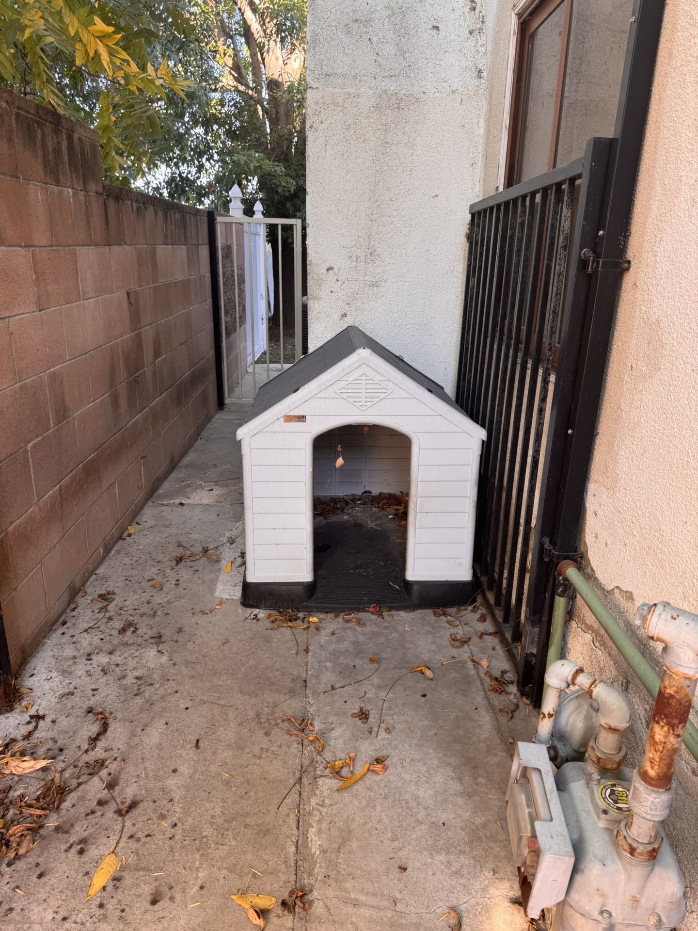 XL dog House 