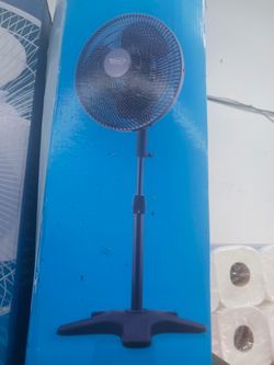 fan