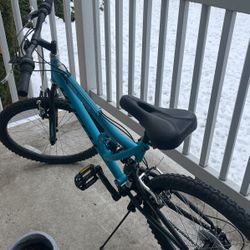 Mountain Bike
