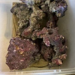 50 Lbs Used Live Rock 