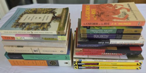 Lot Of High School Literature Reading Books