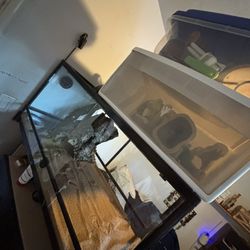 Reptile Tank 