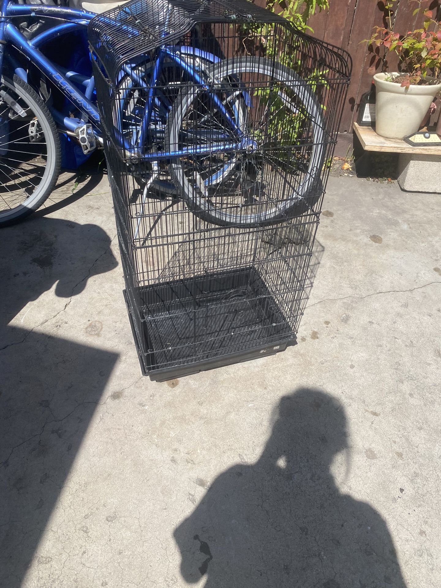 Parrot Cage