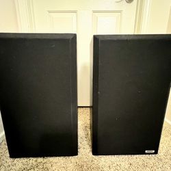 BOSE INTERAUDIO 4000 STEREO SPEAKERS