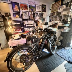 Rad Rover Power Bikes