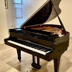 Amazing Condition Kawai KG2 Grand Piano Free Delivery And Tuning