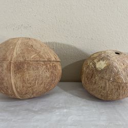 2 Natural Polished Coconut Shells 🥥
